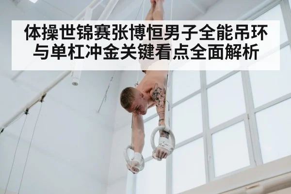 体操世锦赛张博恒男子全能吊环与单杠冲金关键看点全面解析