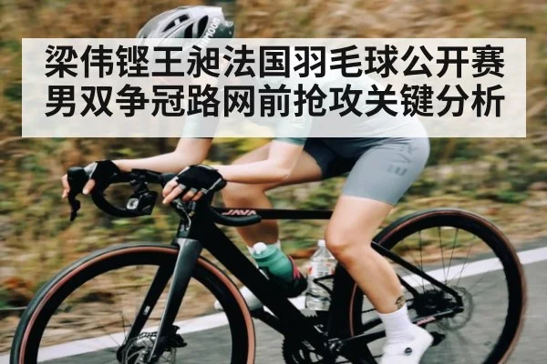 梁伟铿王昶法国羽毛球公开赛男双争冠路网前抢攻关键分析